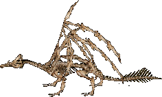 Dragon, Skeletal in-game appearance