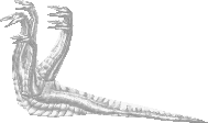 Crystal hydra oyun içi görünümü