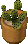 Potted cactus