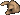 Pig's head