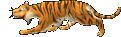 Wild Tiger oyun içi görüntüsü