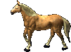 Palomino oyun içi görüntüsü