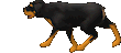 Rottweiler oyun içi görüntüsü
