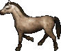 Horse / Tan oyun içi görüntüsü