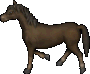 Horse / Dark Brown oyun içi görüntüsü