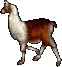 Llama oyun içi görüntüsü
