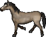 Horse / Light Brown oyun içi görüntüsü