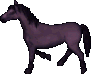 Shire (purple) oyun içi görüntüsü